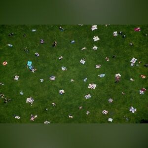 Gray Malin Central Park Lawn Signed Print